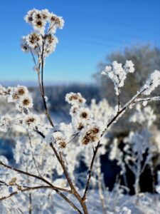 Väljas on veebruar täna.
